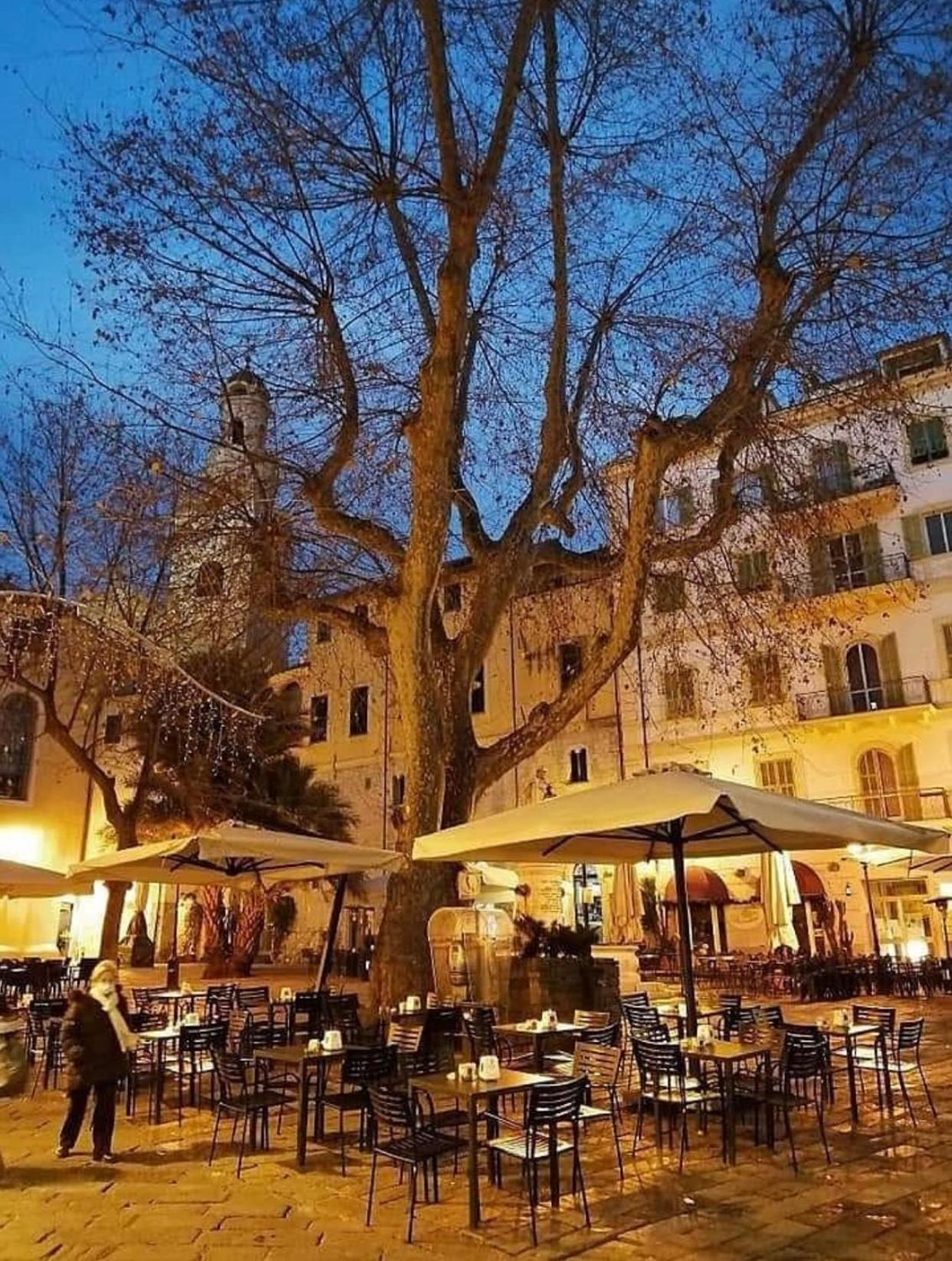 Casa Girasole Sanremo Centro Apartment Екстериор снимка